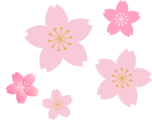 綺麗な桜のイラスト